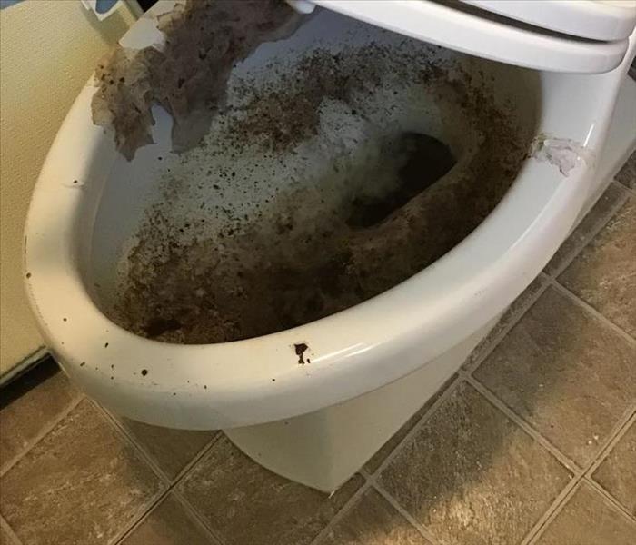 Backed up Toilet